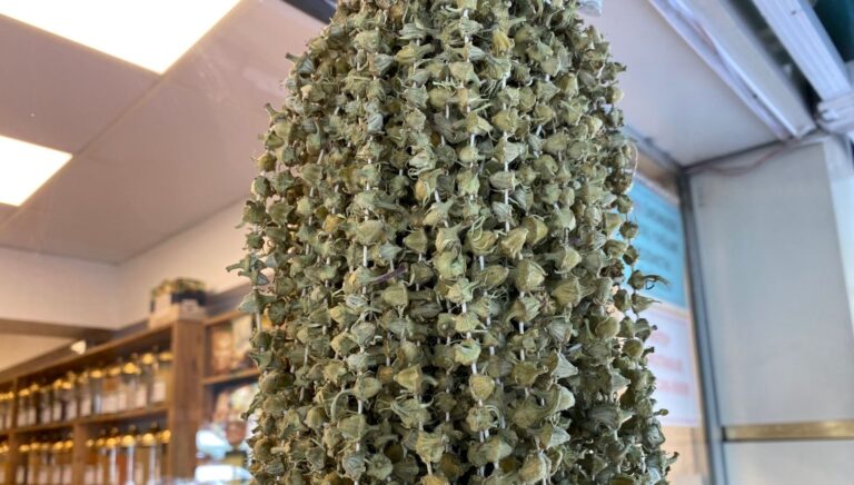 kis aylarinin favorisi fiyati gram altinla yarisiyor sKkLbAMN