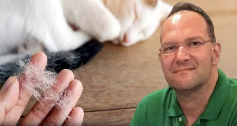 olum nedeni kedi tuyu denilmisti gercek bambaska cikti Quhcchmu