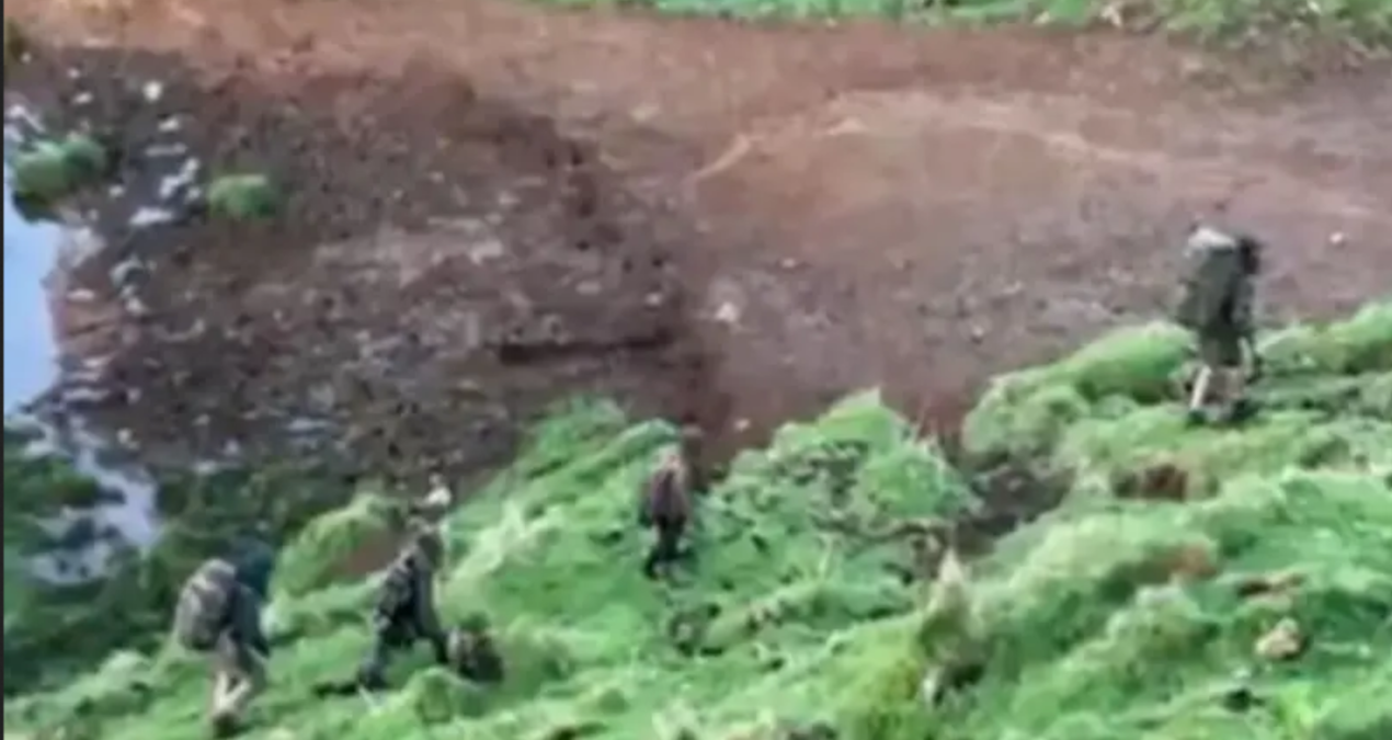 dukkanlari soydu polisle catisti magara adaminin cocuklari 4 yil sonra ormanda bulundu 1PUhvwcr