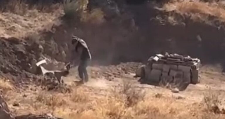 yavru kopege eziyet saniye saniye kaydedildi 6KPLpMQn