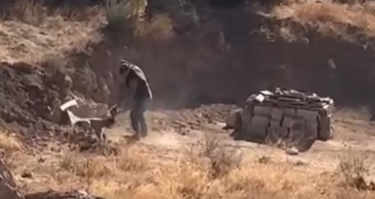 yavru kopege eziyet saniye saniye kaydedildi 6KPLpMQn