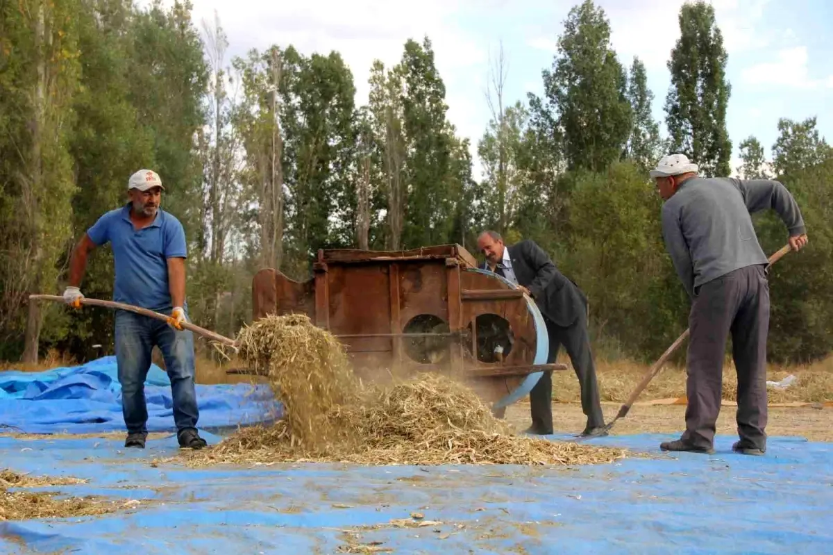 geleneksel yontemlerle ata tohumu fasulye uretimi YpdlcAT9